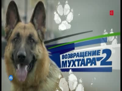 NTV Serial